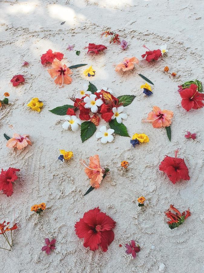 Hotel Flame Tree Nungwi