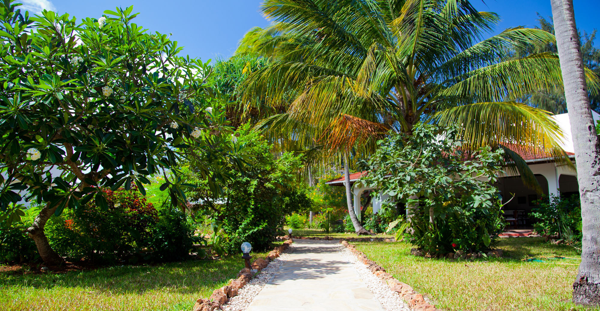 Flame Tree Hotel Nungwi